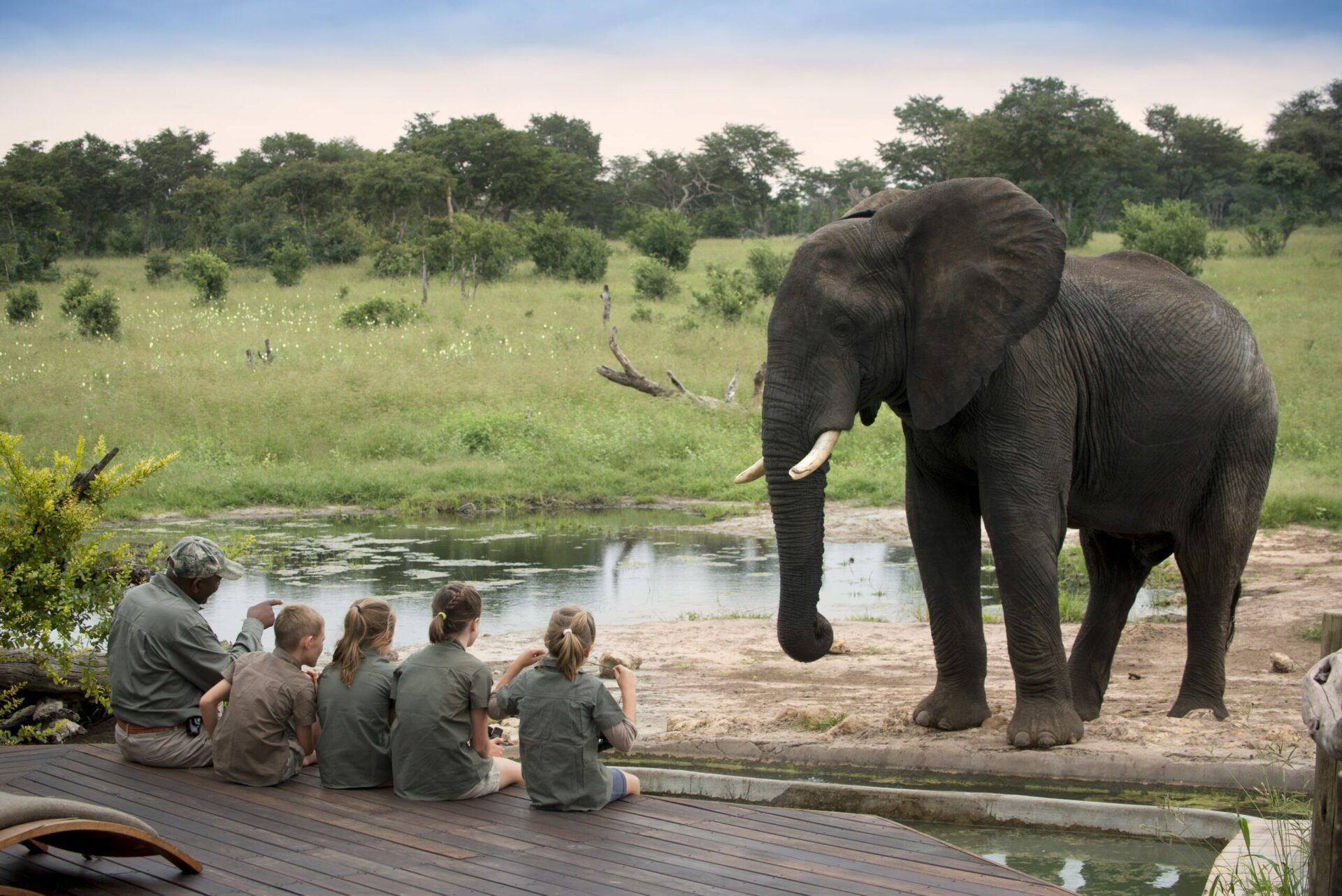 elephant at a camp waterhole with guide and children watching