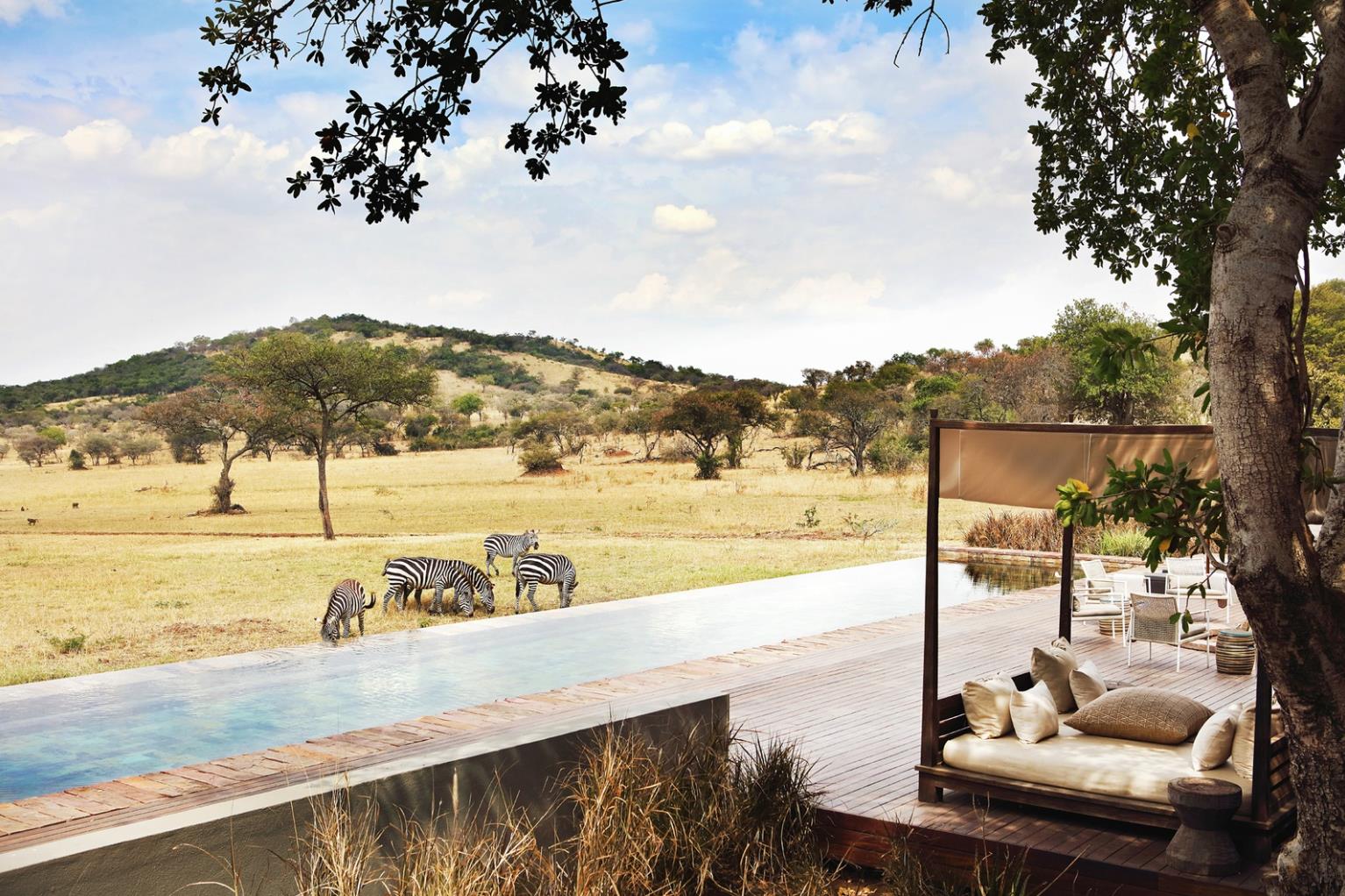 9 Perfect Properties for a Multigenerational Safari, Relax by the infinity pool at Singita Serengeti as the wildlife approaches. ©Singita Serengeti