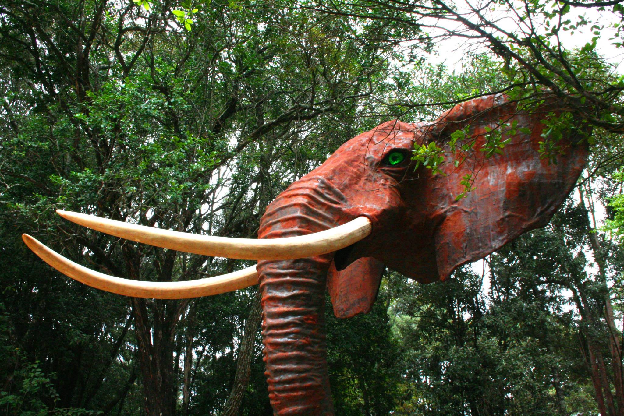 A life-size elephant sculpture with glowing eyes will greet you as you enter Matbronze Art Gallery & Foundry. ©Matbronze Wildlife Art