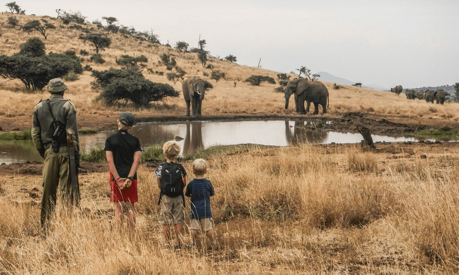 safari with kids