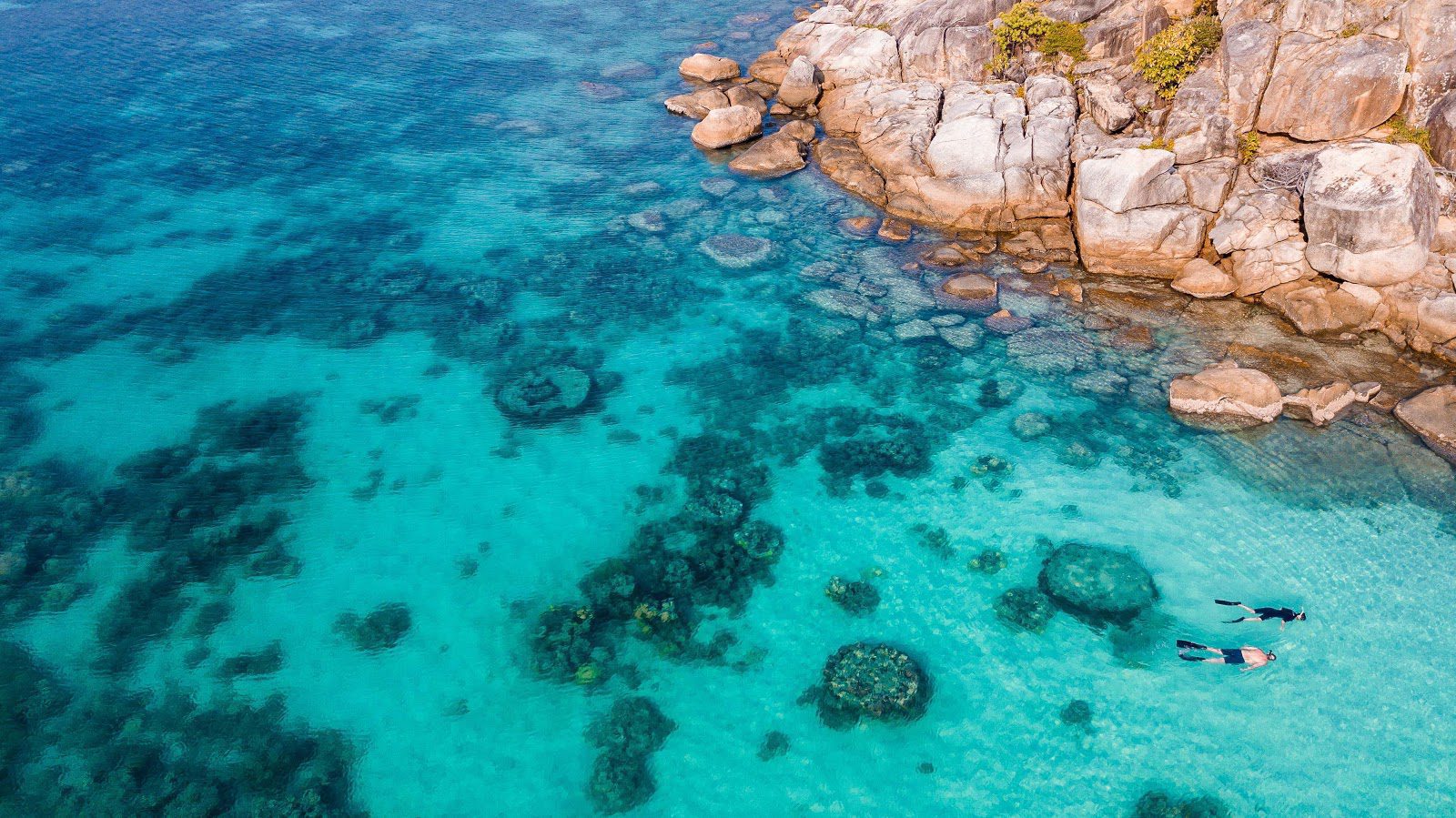 Safari to the Great Barrier Reef: How to See the Best Reefs Today, Lizard Island Resort