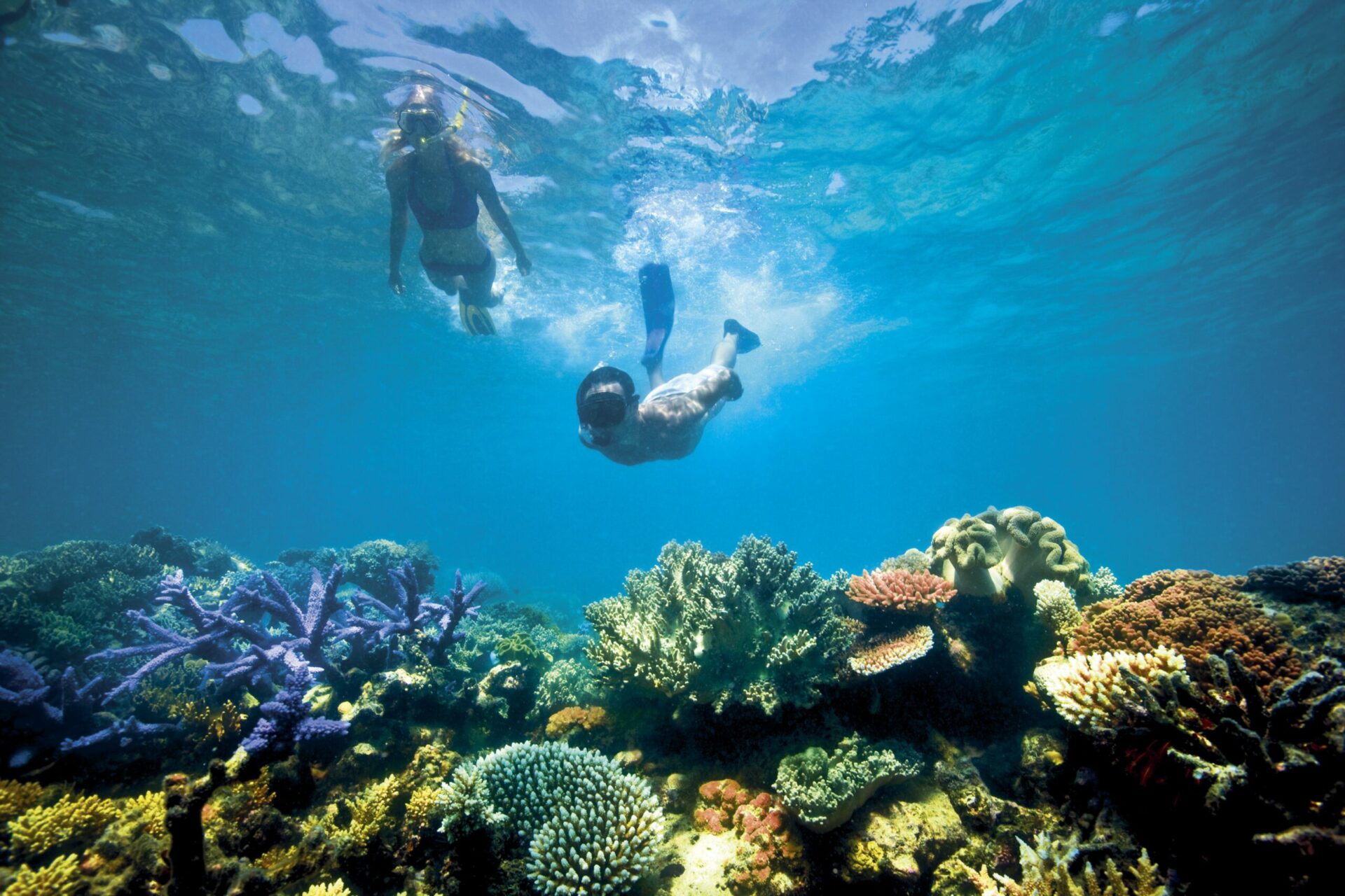 two people snorkeling in africa
