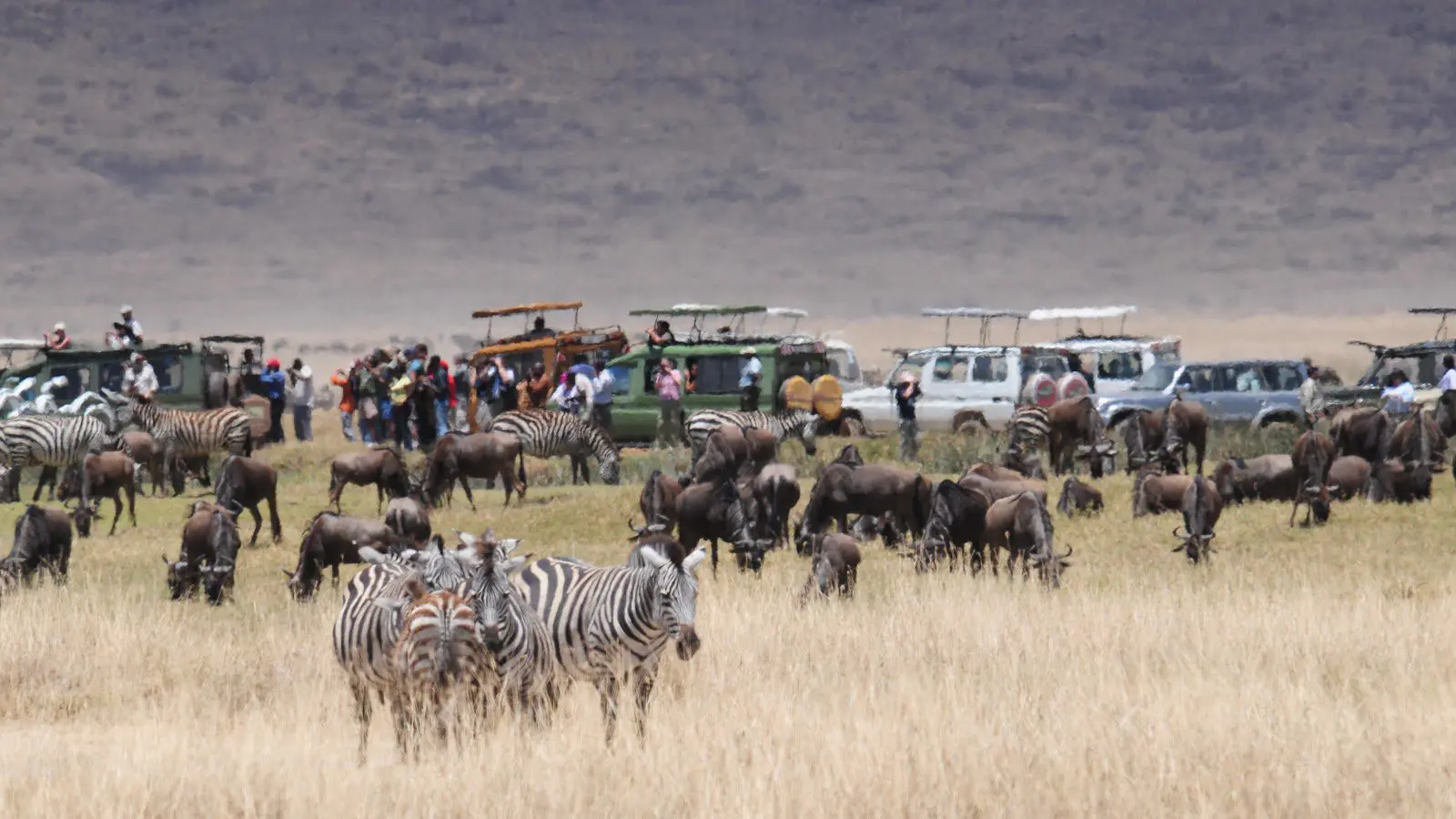 How to Outsmart Overtourism: 5 Tips for Responsible Travel, Game Viewing