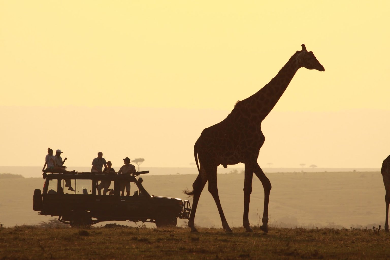 adventure Kenya safari vehicle observing a a giraffe on a game drive