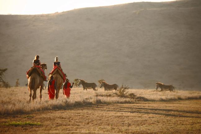 Kenya Luxury Safaris, Camel Riding Past Zebras