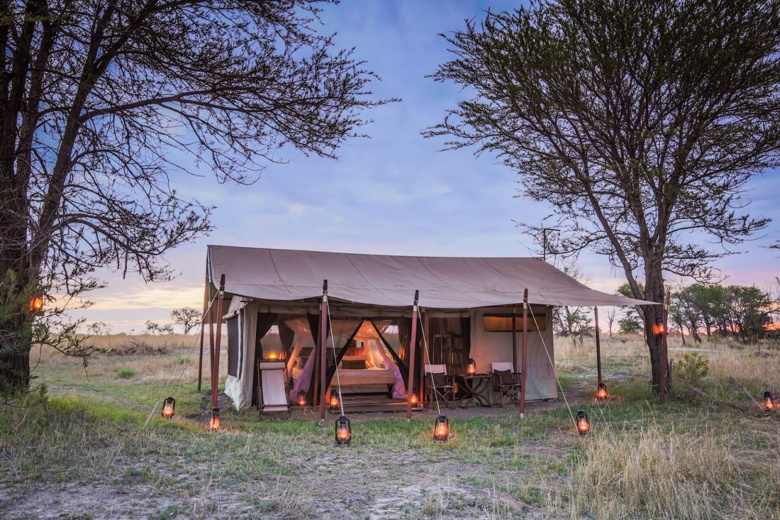 tented camp surrounded by lanterns
