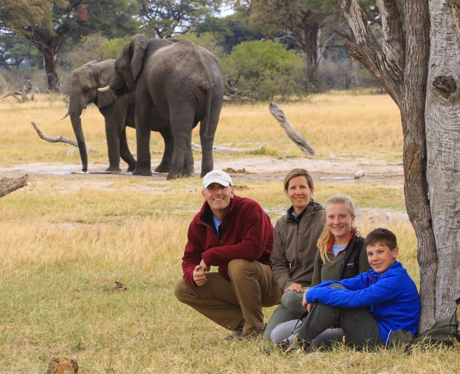 family walking safari poses with elephants