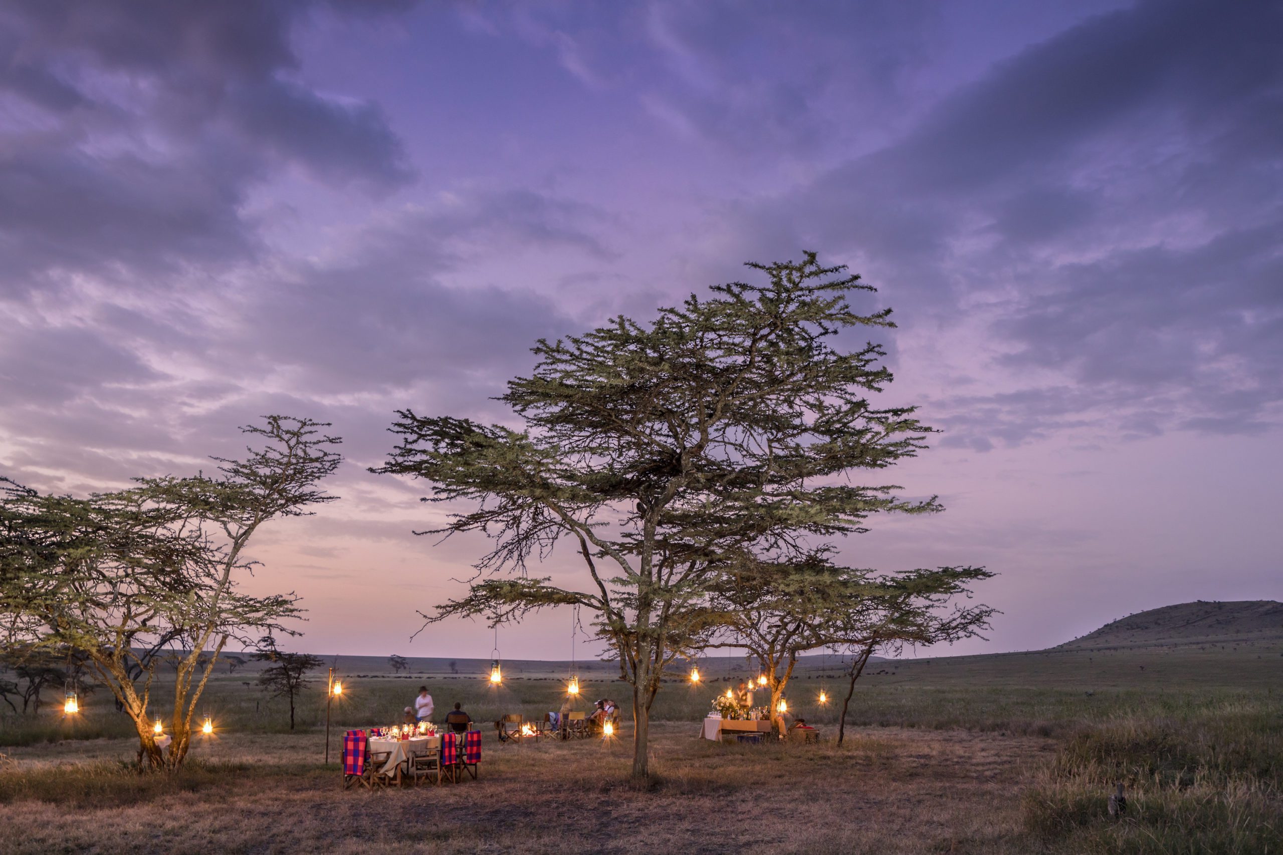 Protecting Kenya: A Luxury Conservation Safari