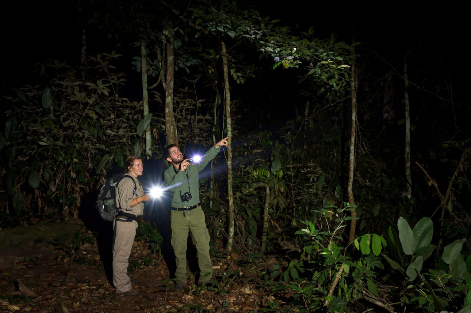 Congo Ngaga Camp two people with flashlights at night looking at tree