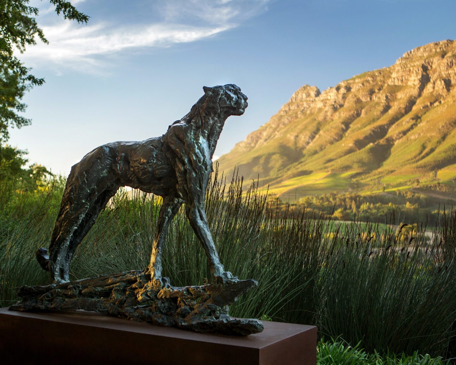 bronze sculpture of a cheetah overlooking the mountains at Delaire Graff