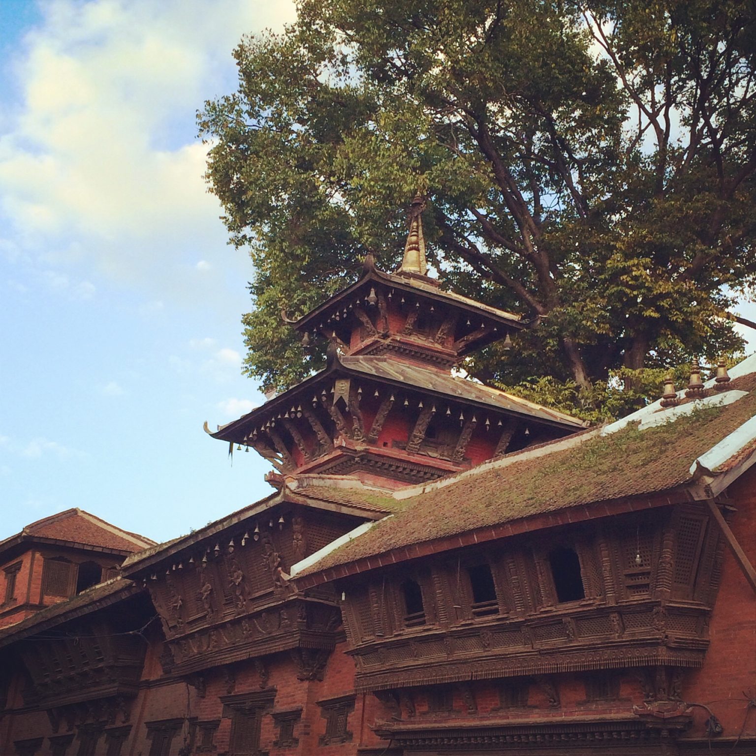ancient wood and brick temple with a large tree above in Kathmandu