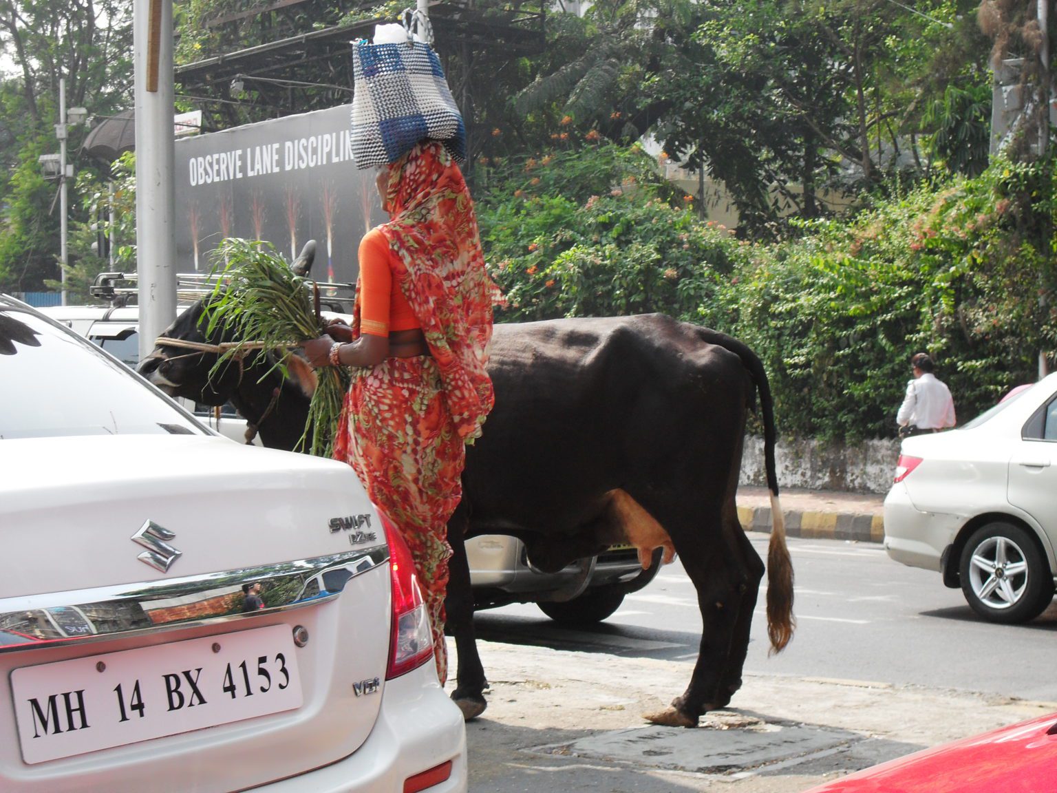 woman in a pink saree walking with a cow in traffic