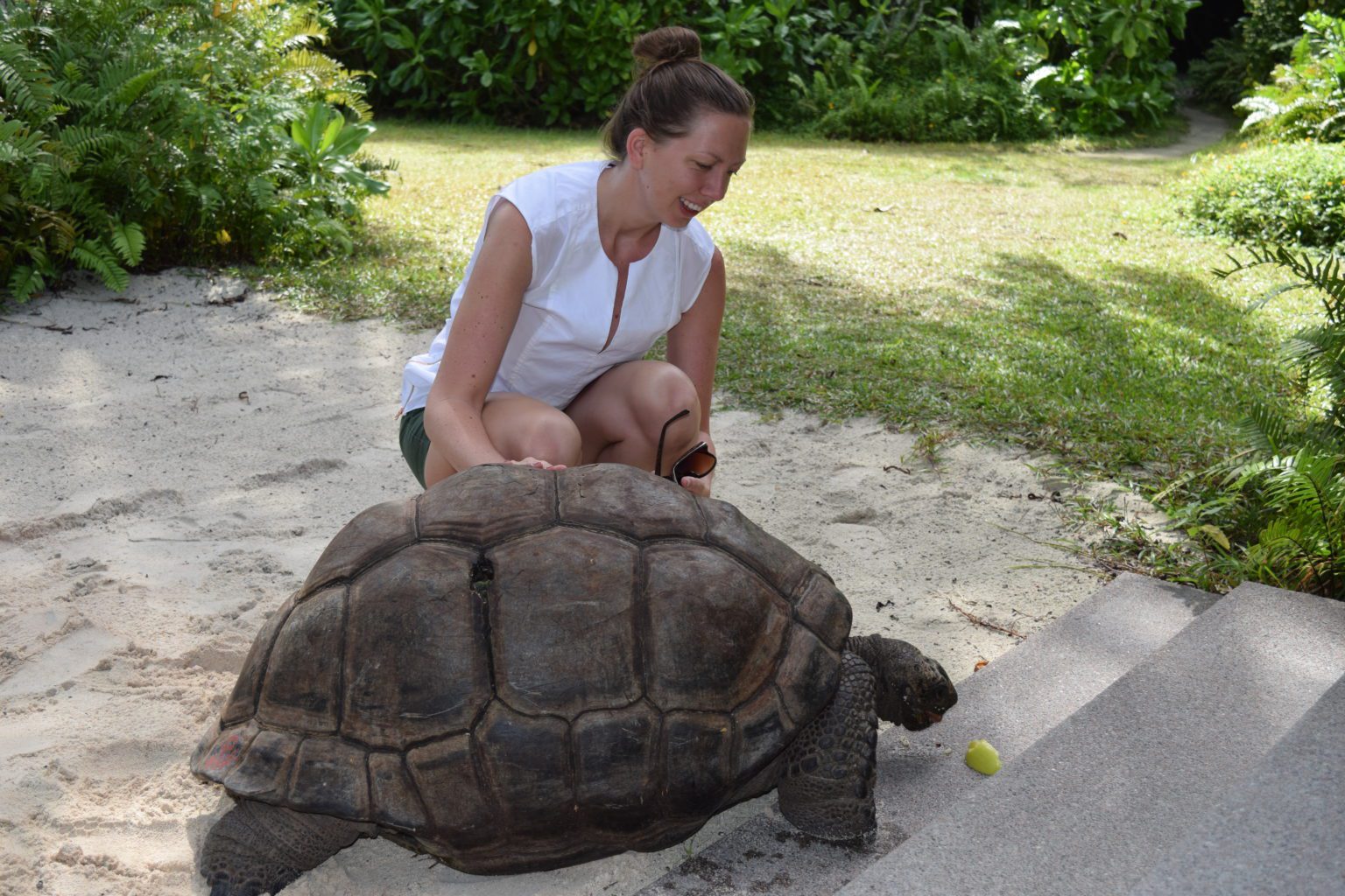 woman visiting with tortoise
