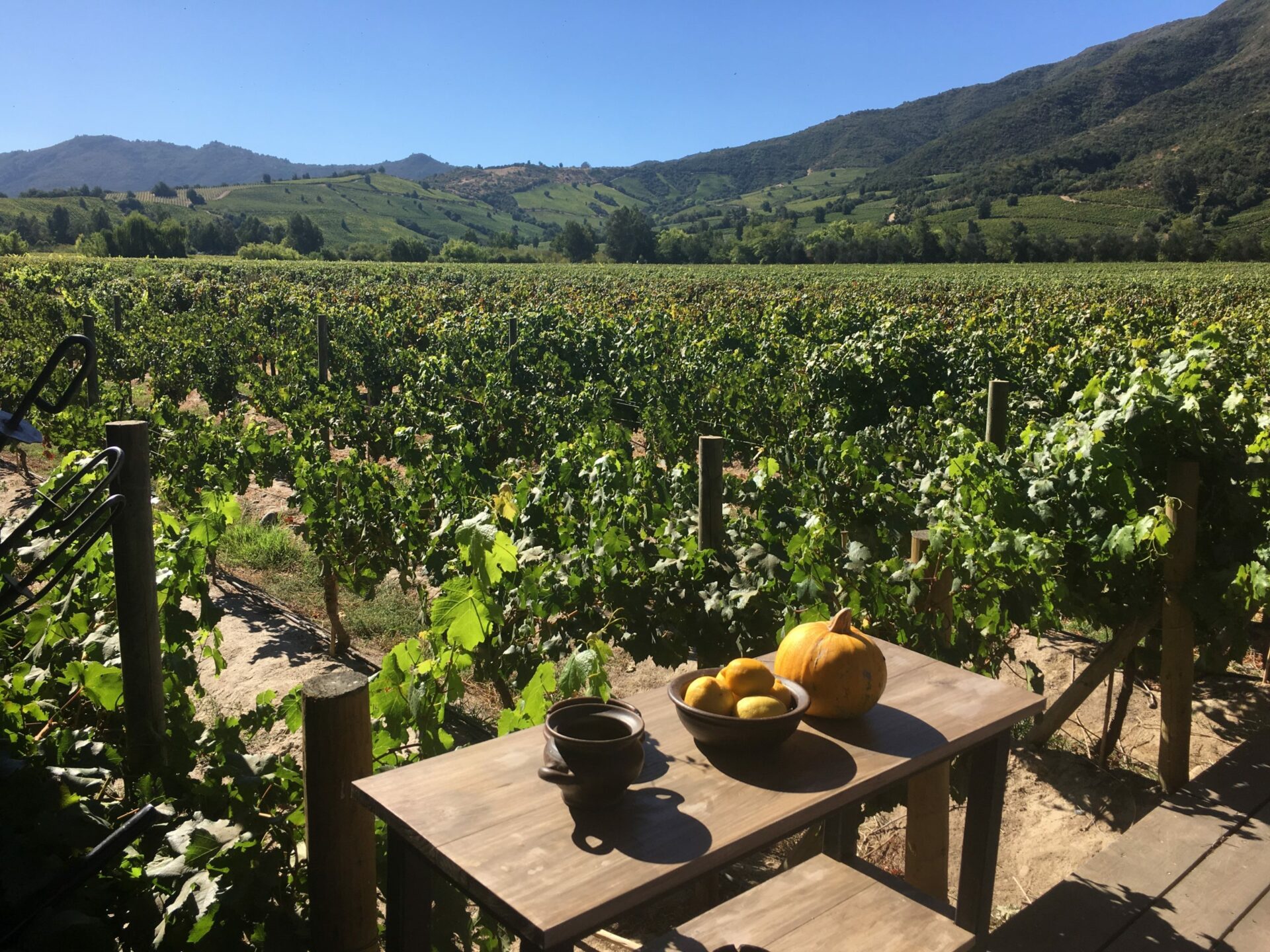 colchagua valley vineyards seen from Fuegos de Apalta