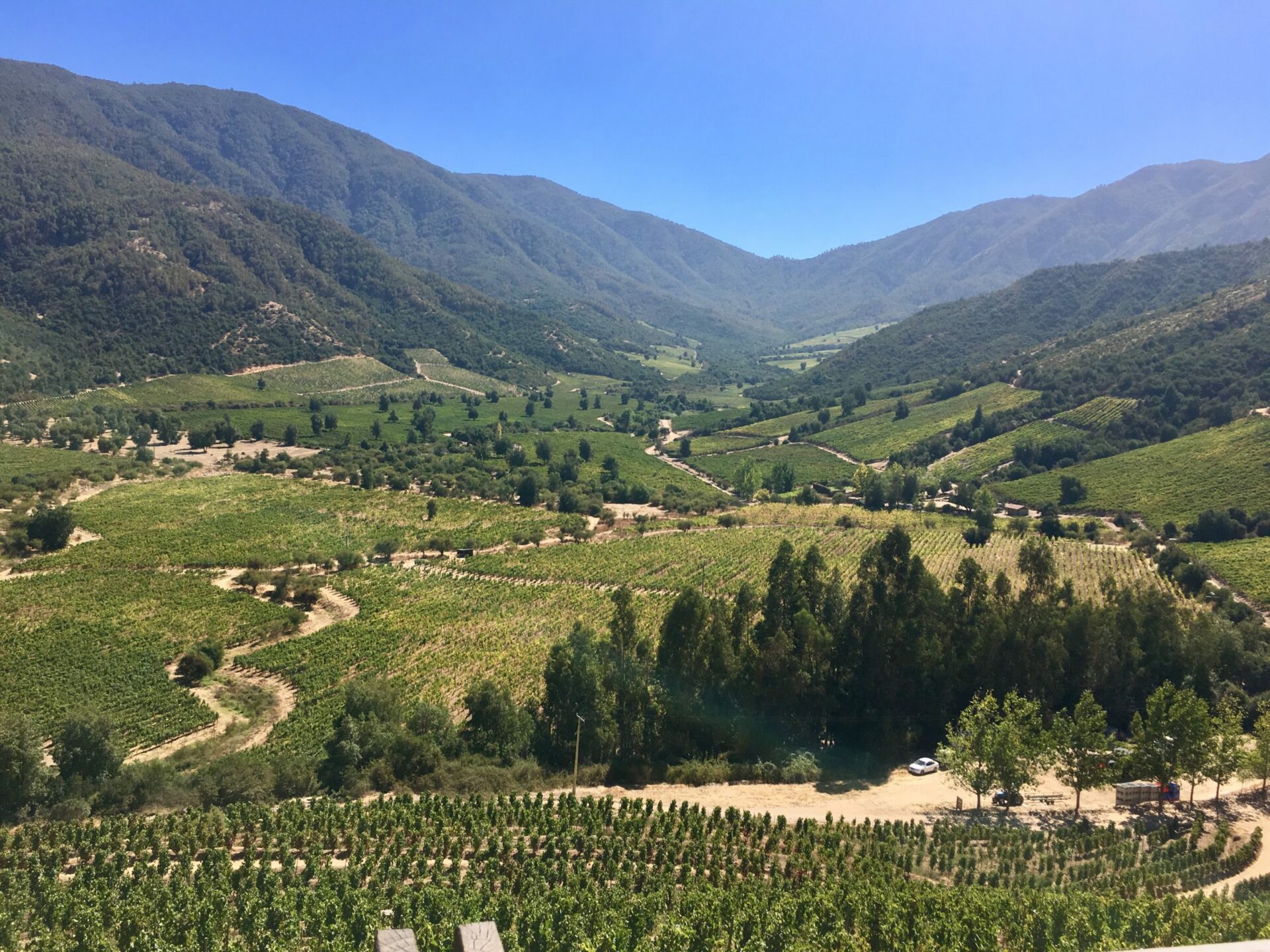 view overlooking a valley with trees and mountains in Colchagua