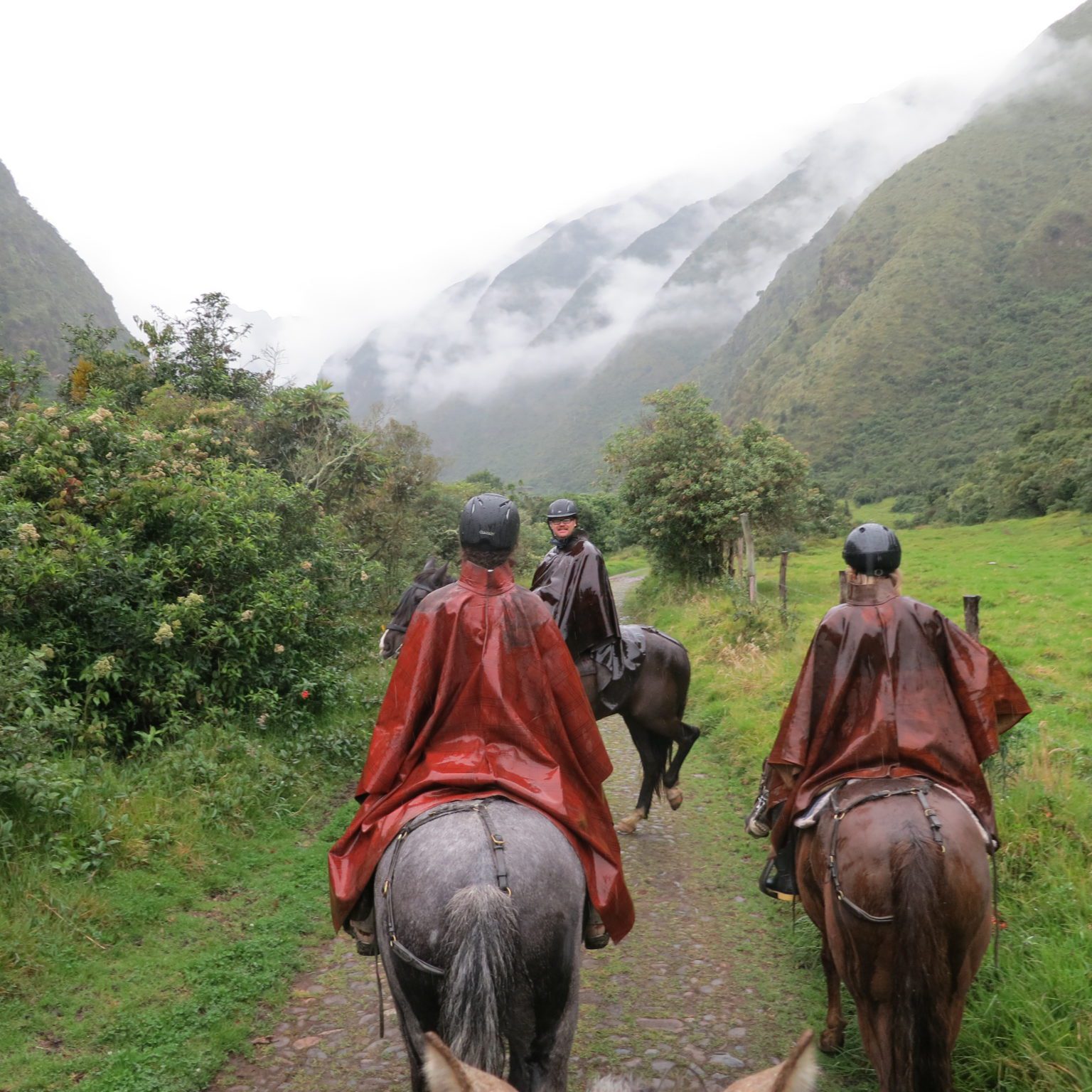 Horseback riding in the rain in Highlands