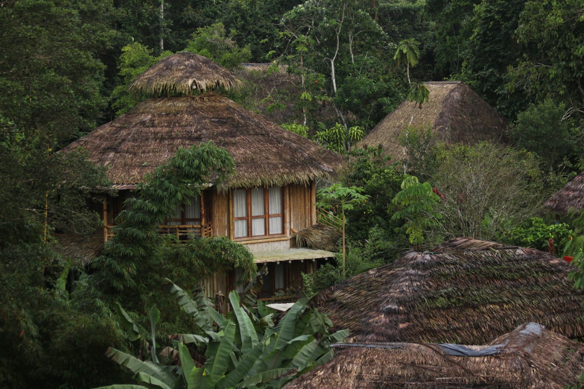 Eco lodge in jungle in Ecuador Amazon