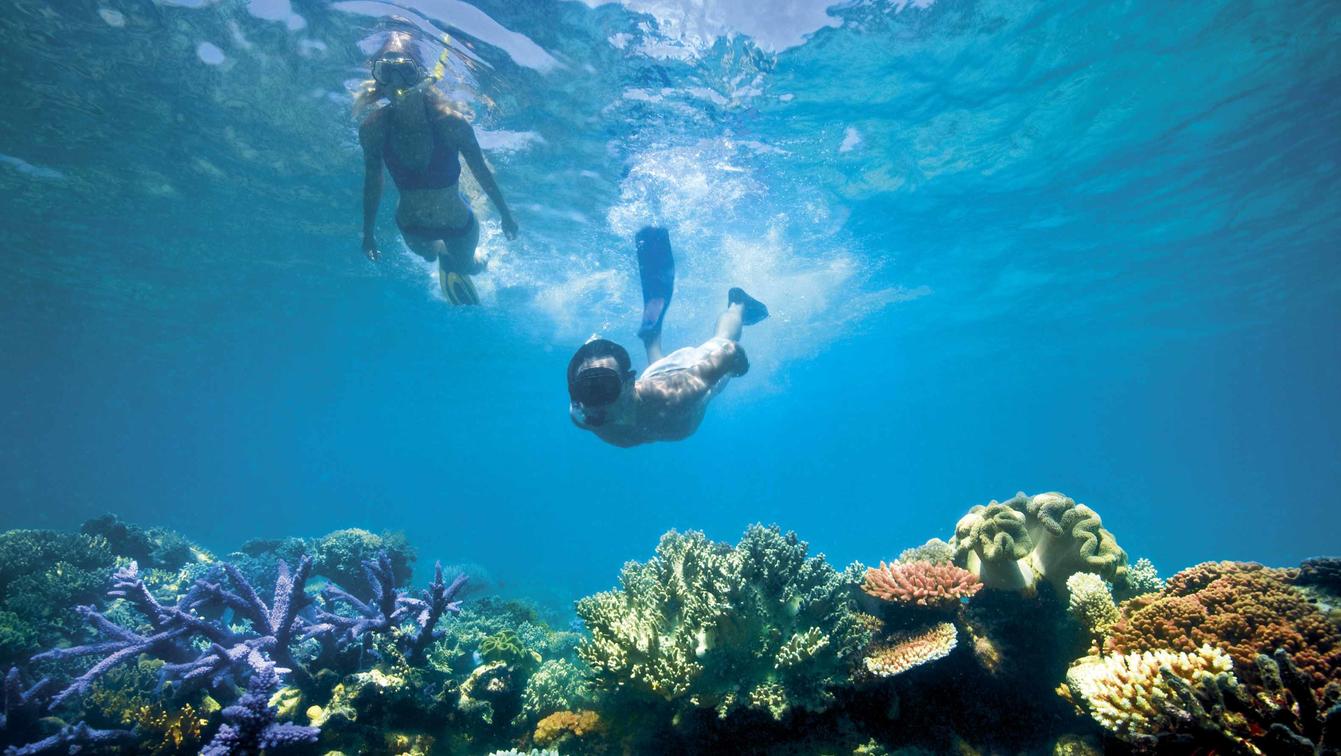 Two snorkellers in the shallow water above vibrant coral in the Great Barrier Reef