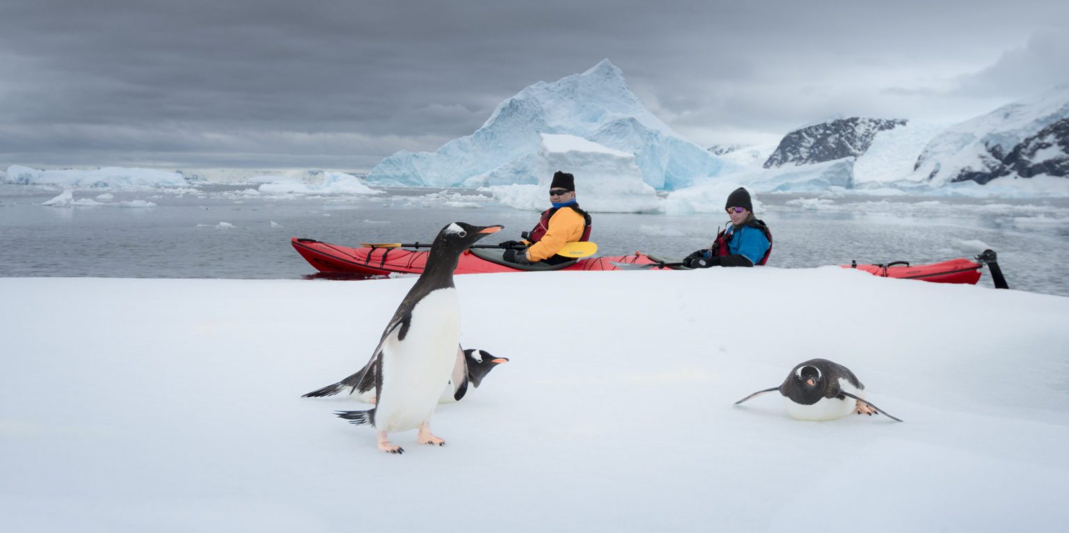 penguins on ice with two kayakers in the water