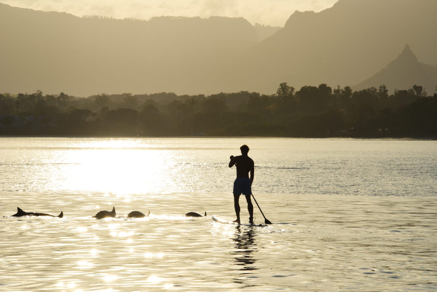 paddleboarder with dolphins at sunset on Mauritius safari