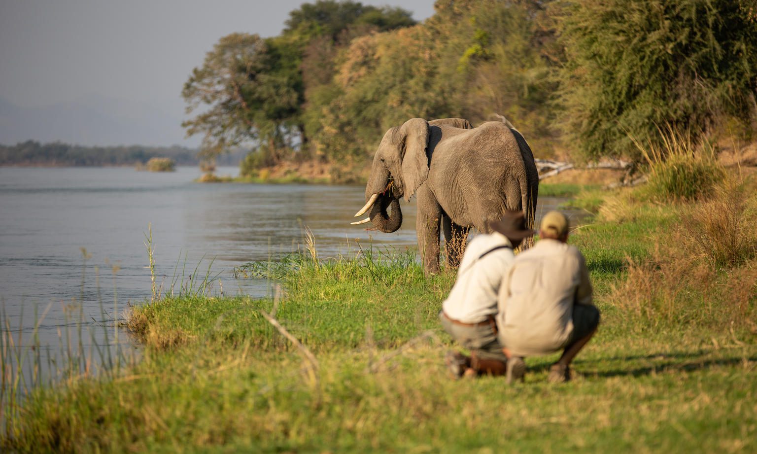 two people crouch beside a river watching an elephant at the water's edge