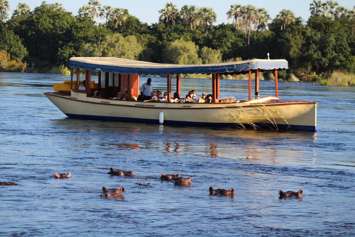 boat cruise with hippos watching