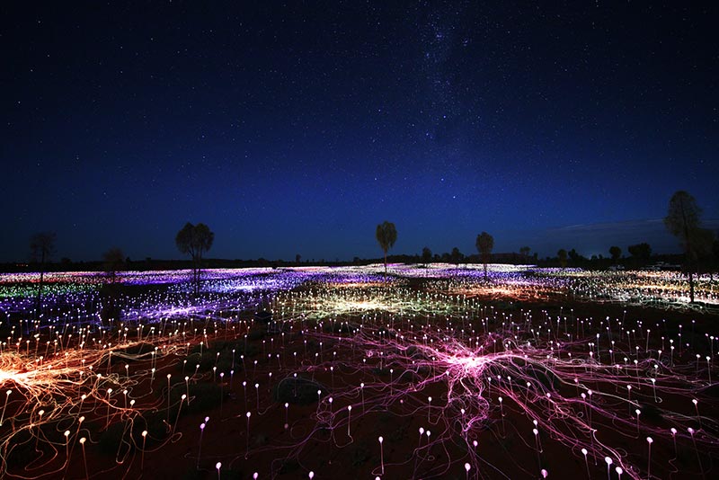 Safari in Oceania: Field of Light art installation in Uluru, Australia
