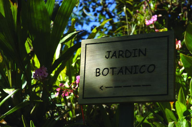 Sign pointing to botanical garden