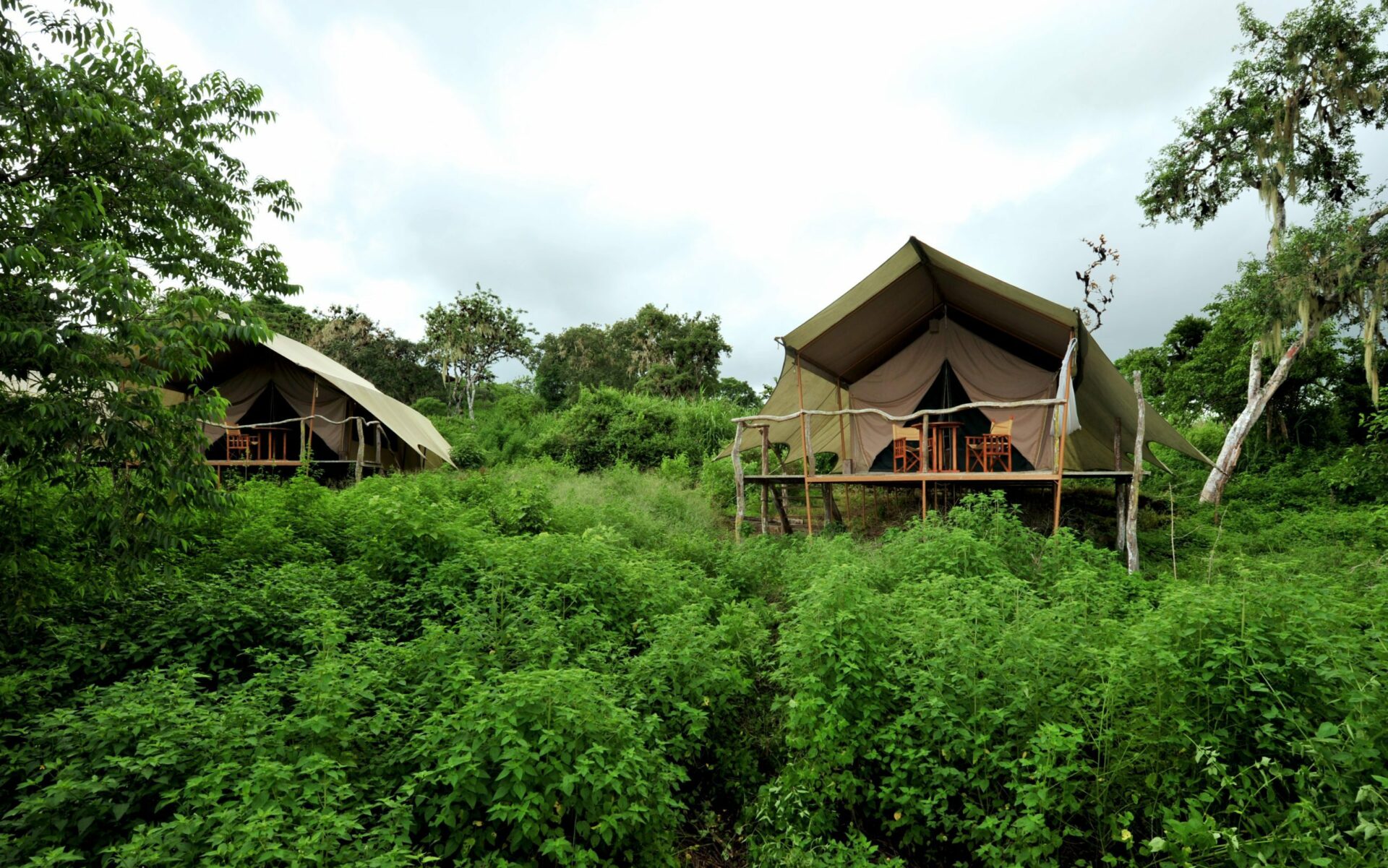 two tents perched above trees on this Ecuador & Peru holiday