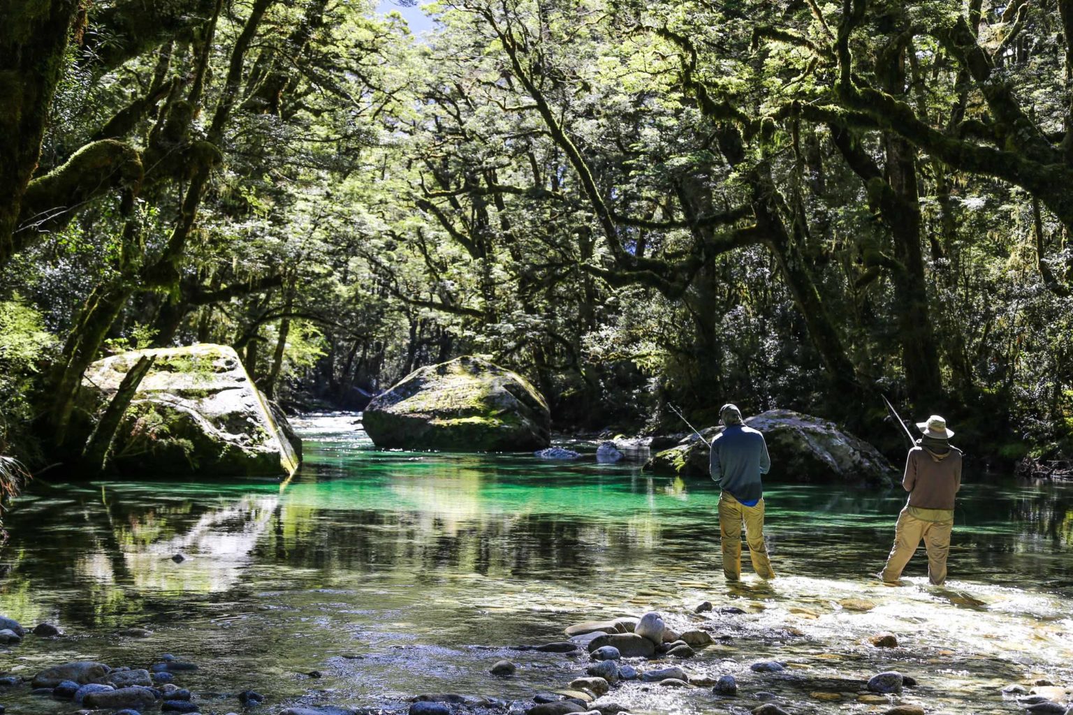 two people fly fishing in a clear stream covered by trees at minaret station