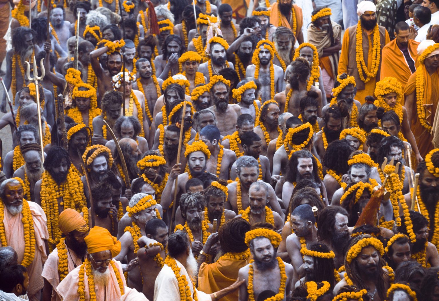 parade of the Sadhus in kumbh mela seen on an Indian Subcontinent safari