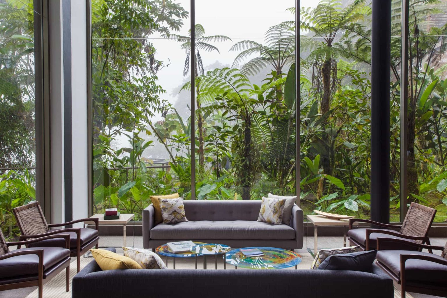 couches in front of a large glass window with trees