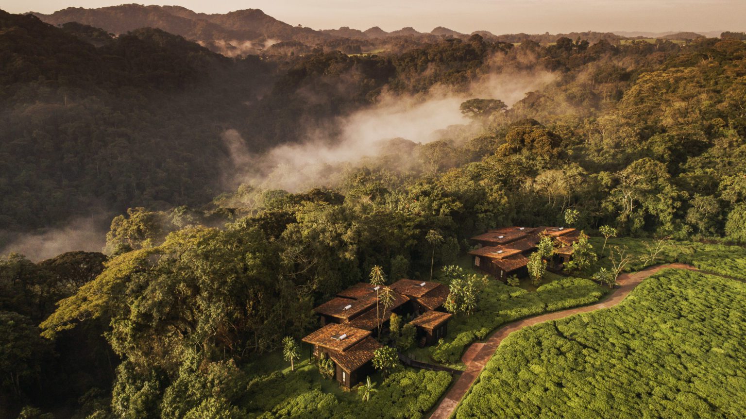 aerial image of Nyungwe Forest Lodge