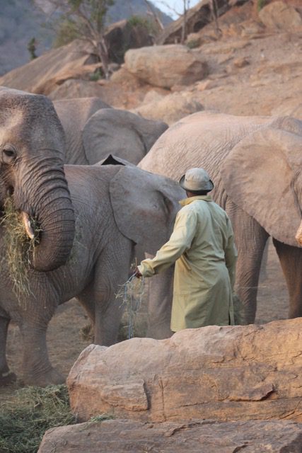 Protecting Kenya: A Luxury Conservation Safari