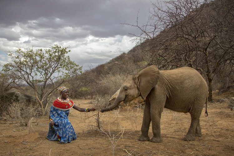 Woman with elephant