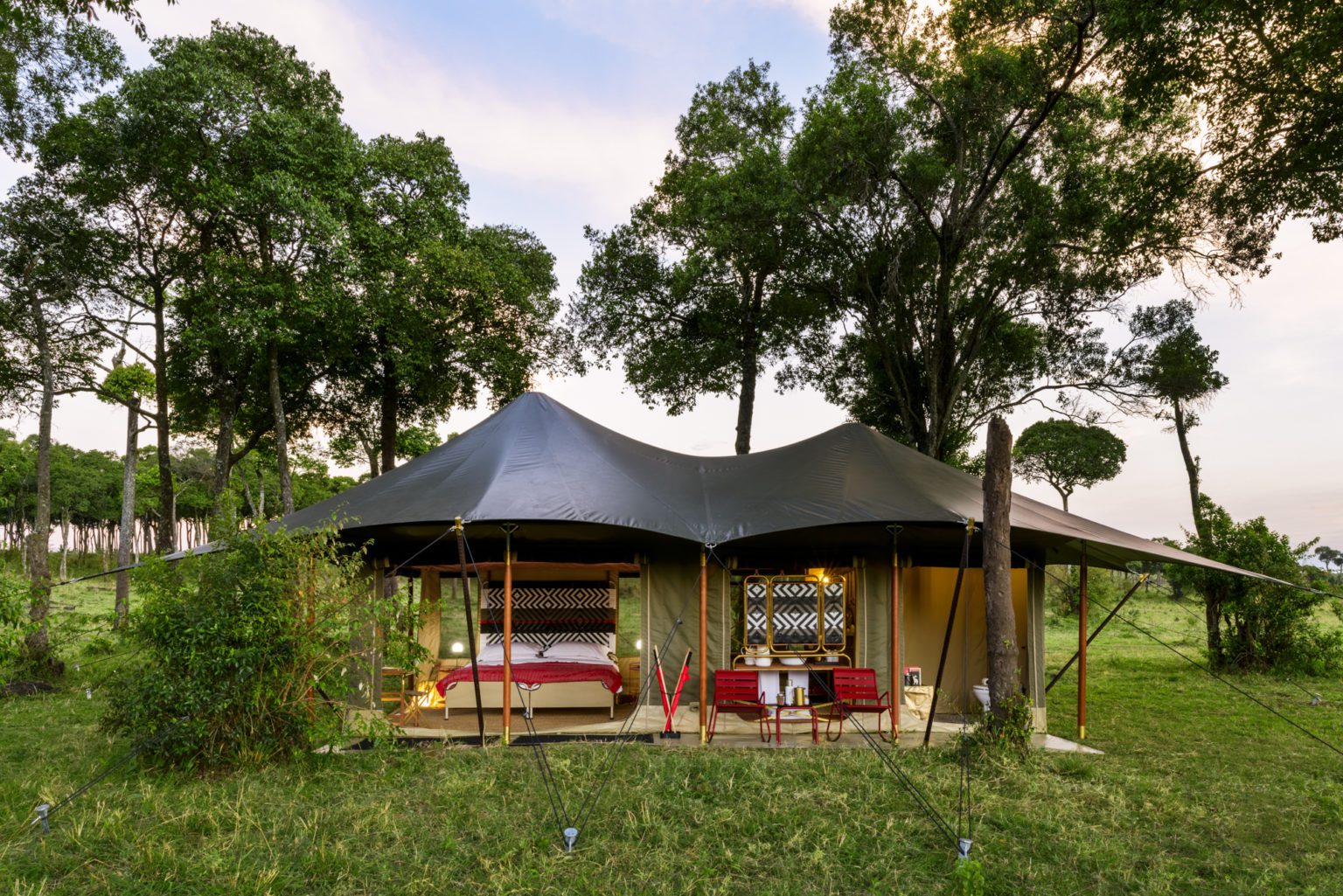 angama safari camp tent set between trees on the plains of the masai mara