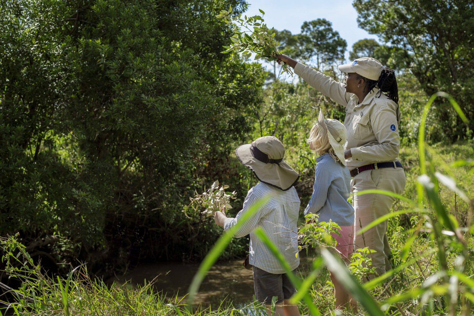 a female safari guide takes kids on a bush walk and stops to point out something.