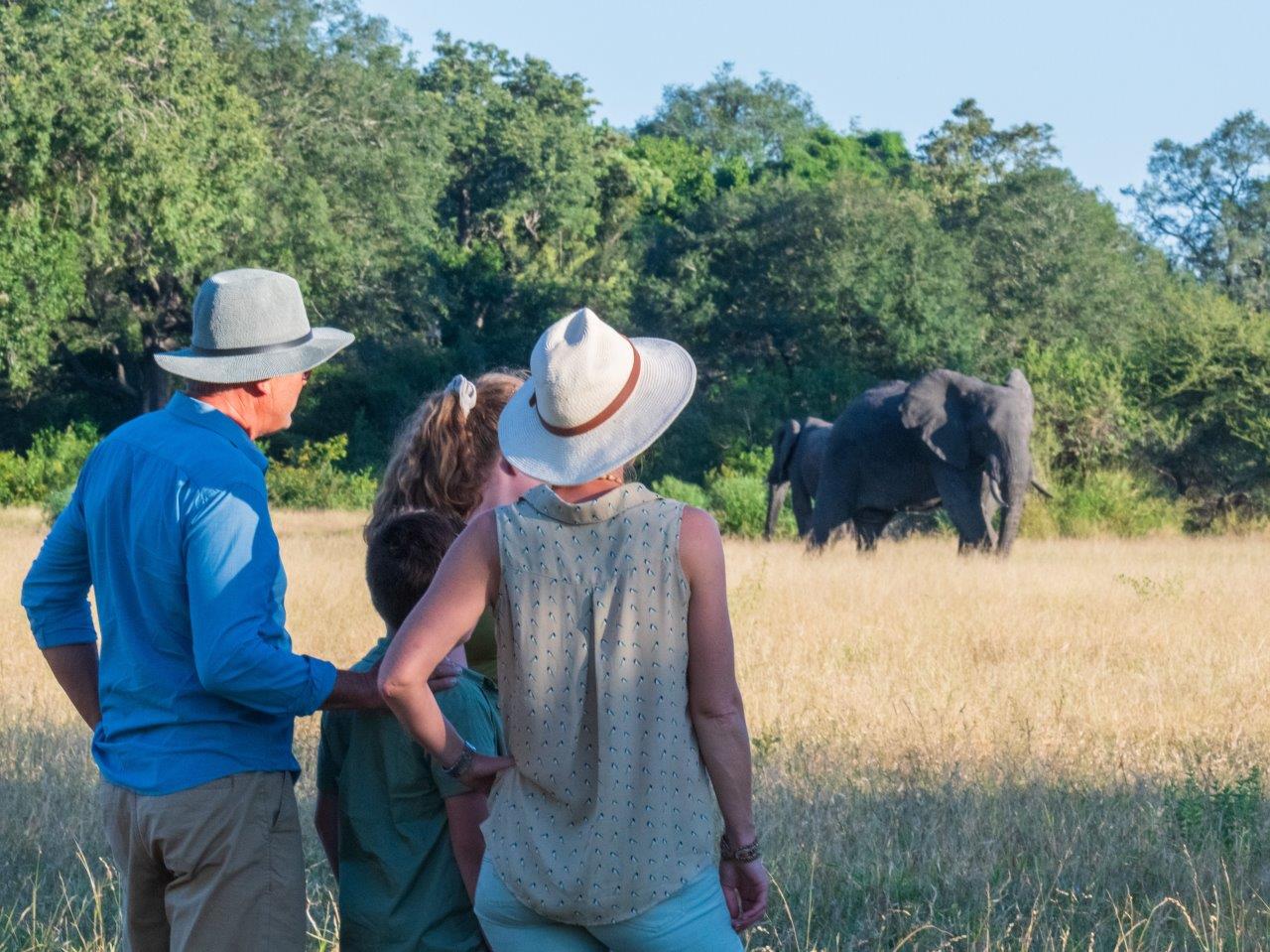 family of four watching an elephant in the distance in a field of dry grass in front of the treeline