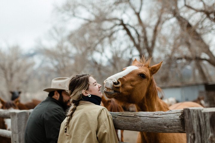 Woman laughing with horse