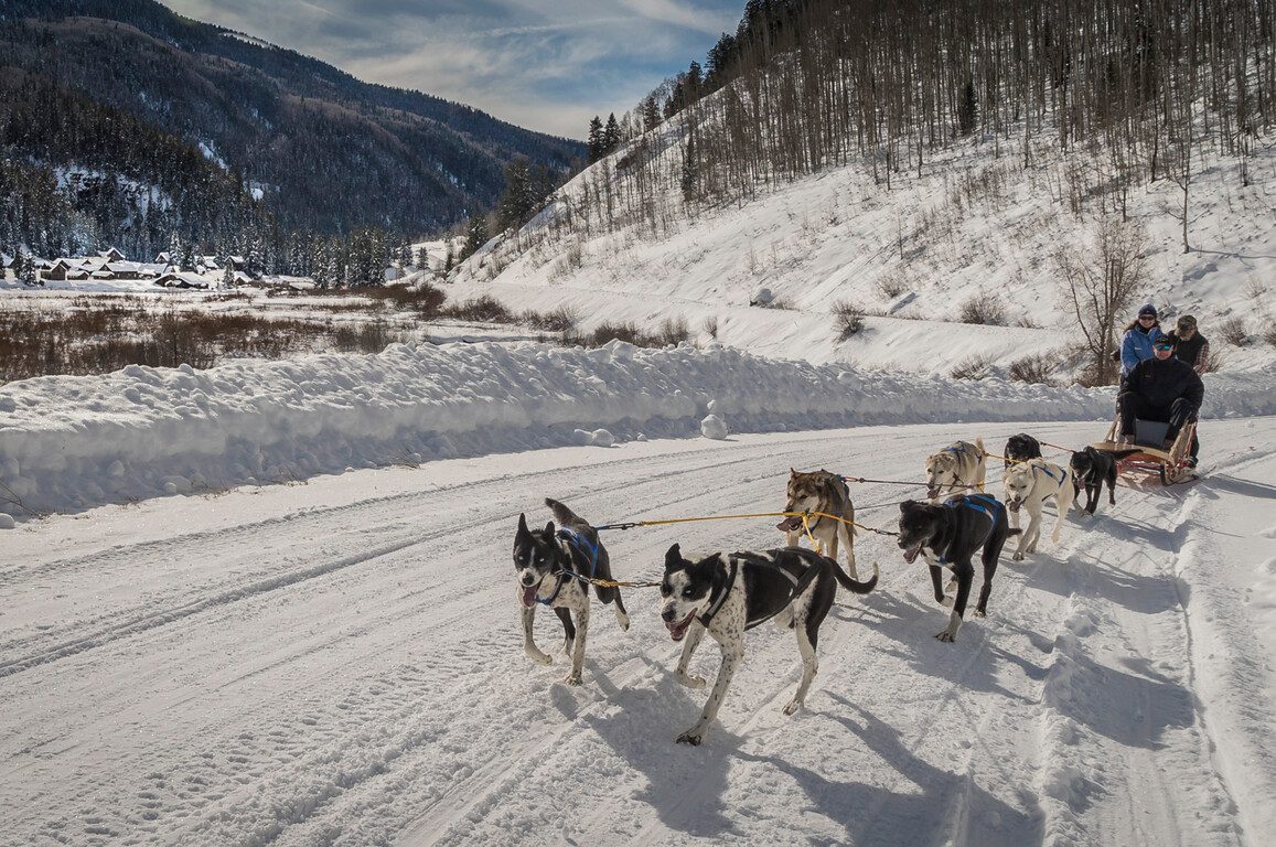 sled dogs pulling people on a sleigh through the snow
