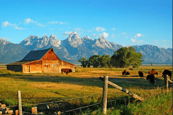 Ranch, mountains, shed, and bison in Colorado