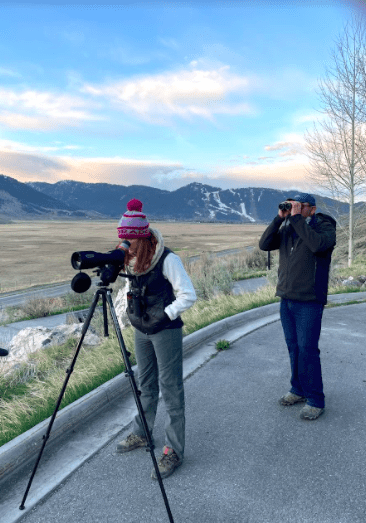 Serious Wildlife Seekers will Love a Quiet Spring or Fall Weekend in Jackson Hole, A Woman Looks Through a Spotting Scope and a Man Looks Through Binoculars While Standing in Front of a Meadow and Mountains