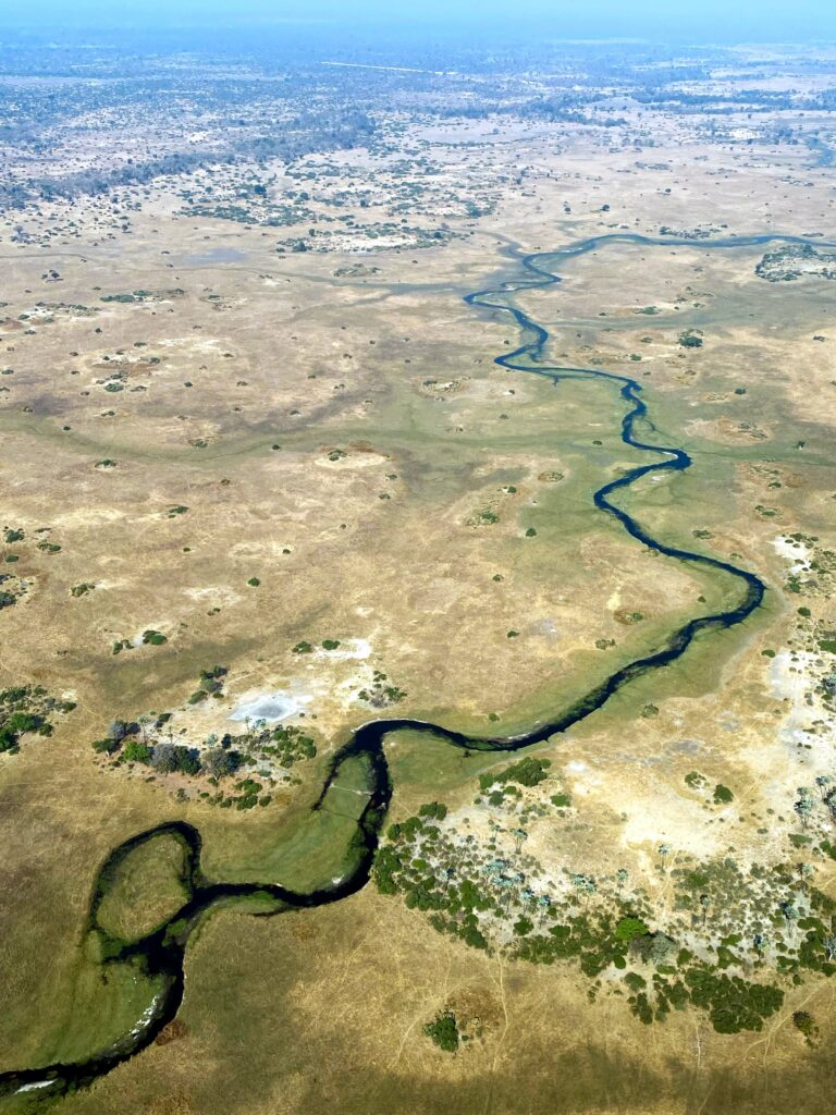 Okavango River Aerial View