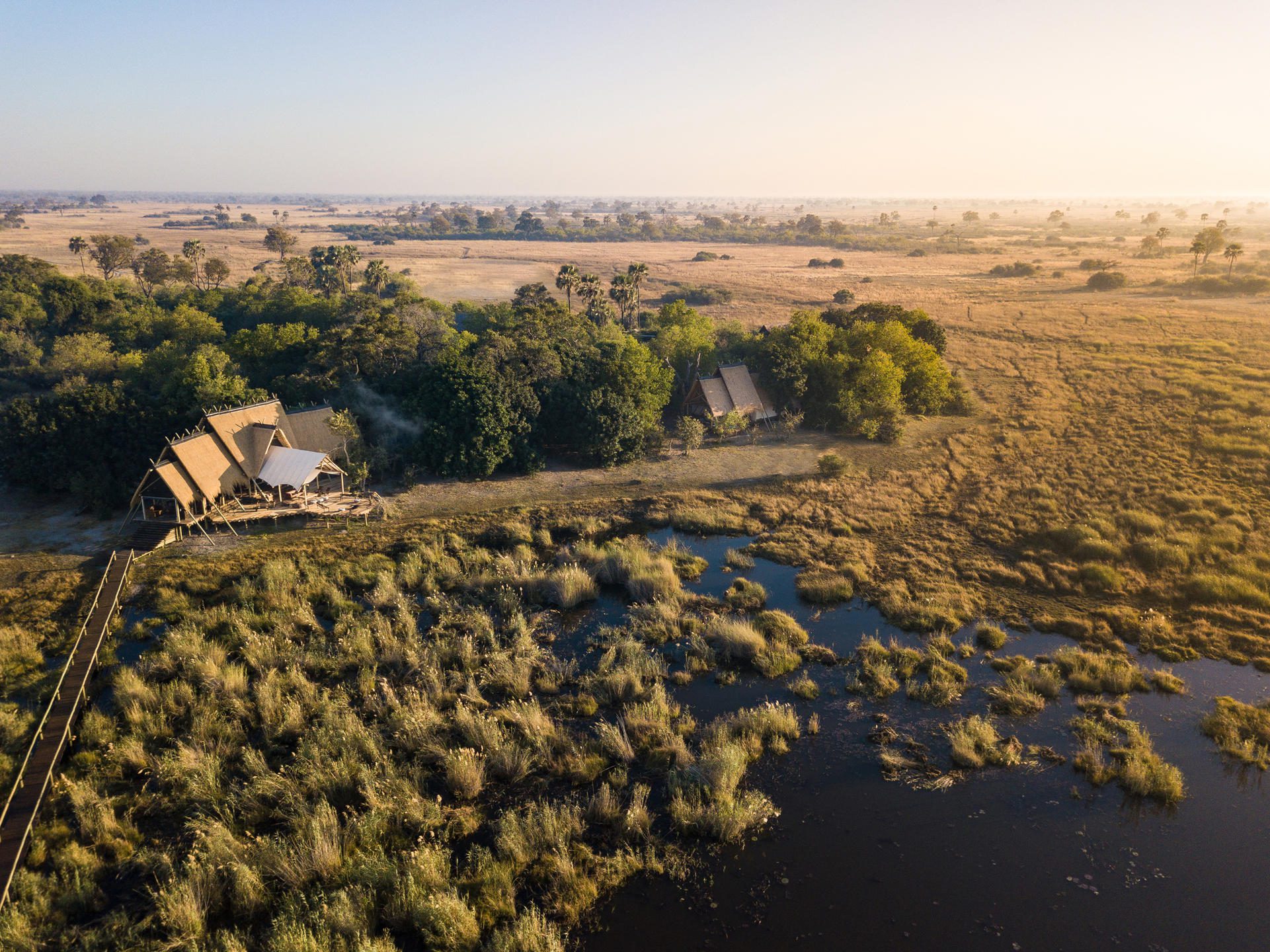 a train traveling through a lush green countryside.