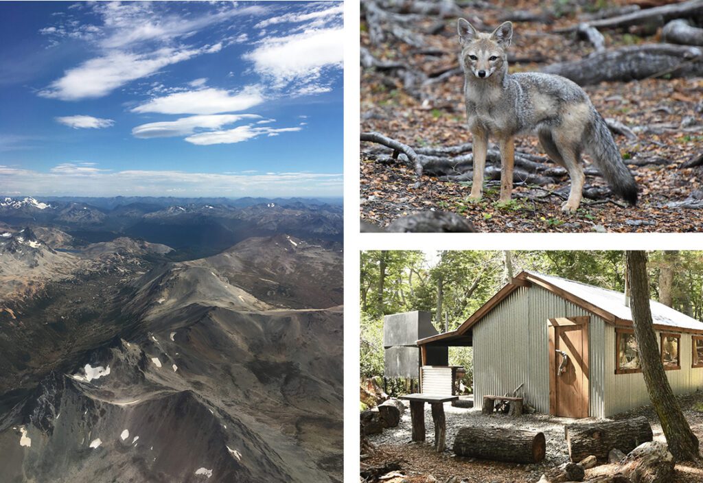 From left: Patagonia from above, a Patagonian fox, and a small metal-and-wood cabin.  