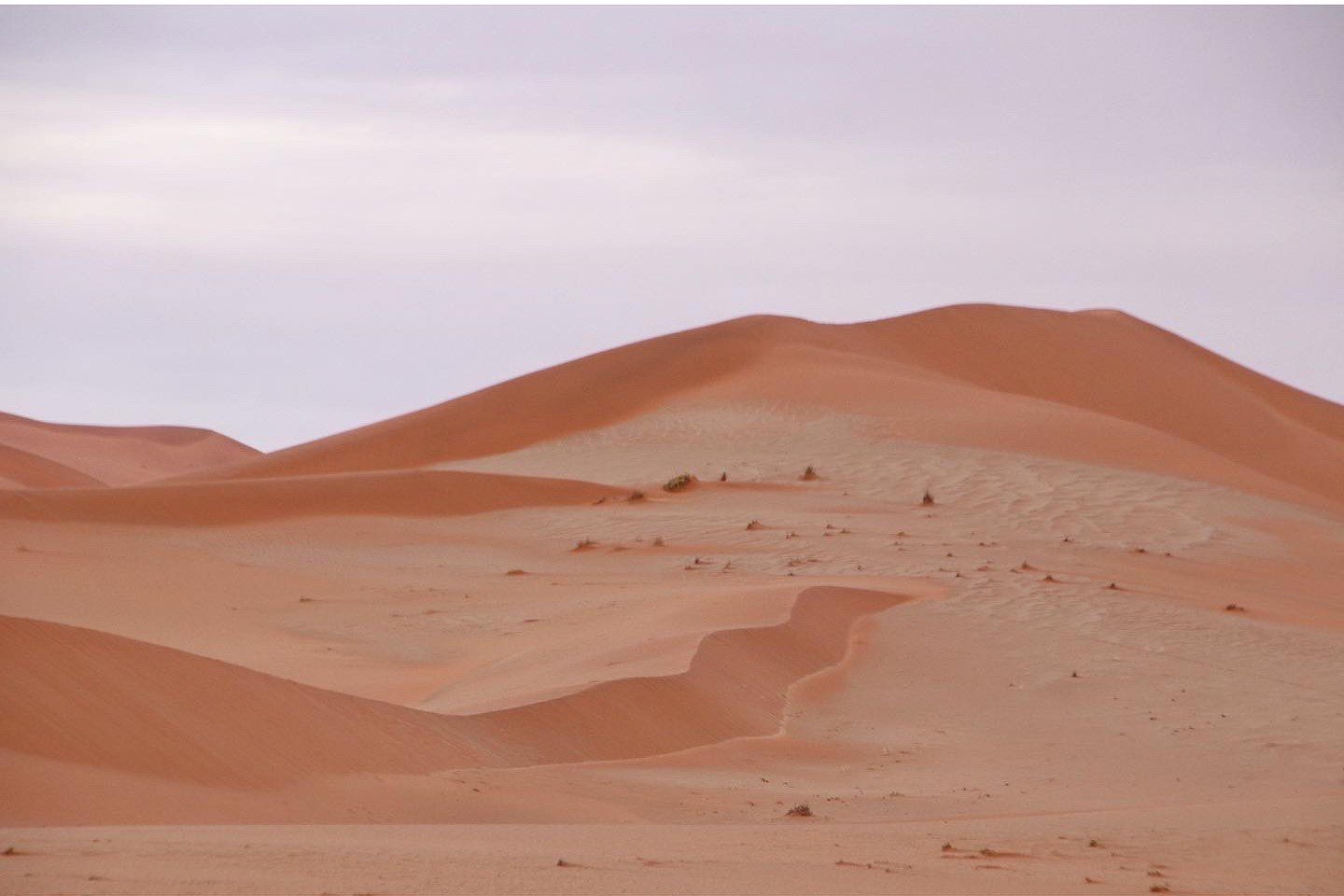 Sand Dunes of the Sossusvlei Desert