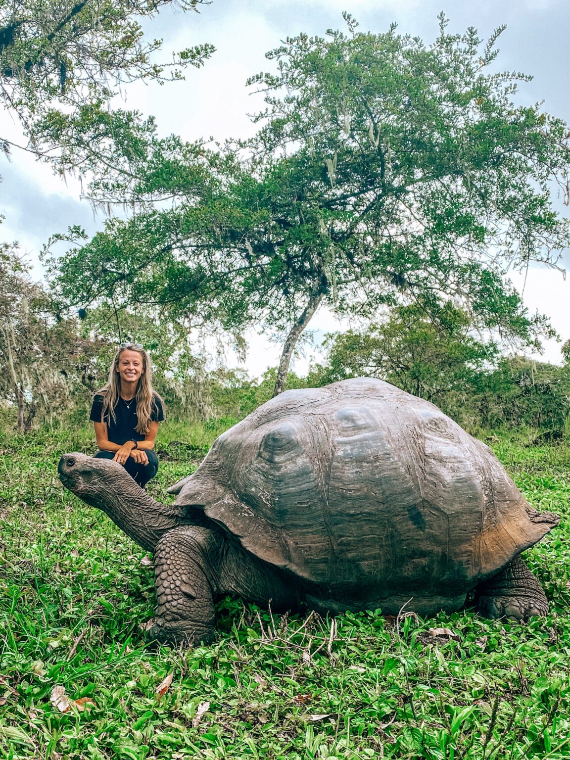 a woman kneeling down next to a giant turtle.