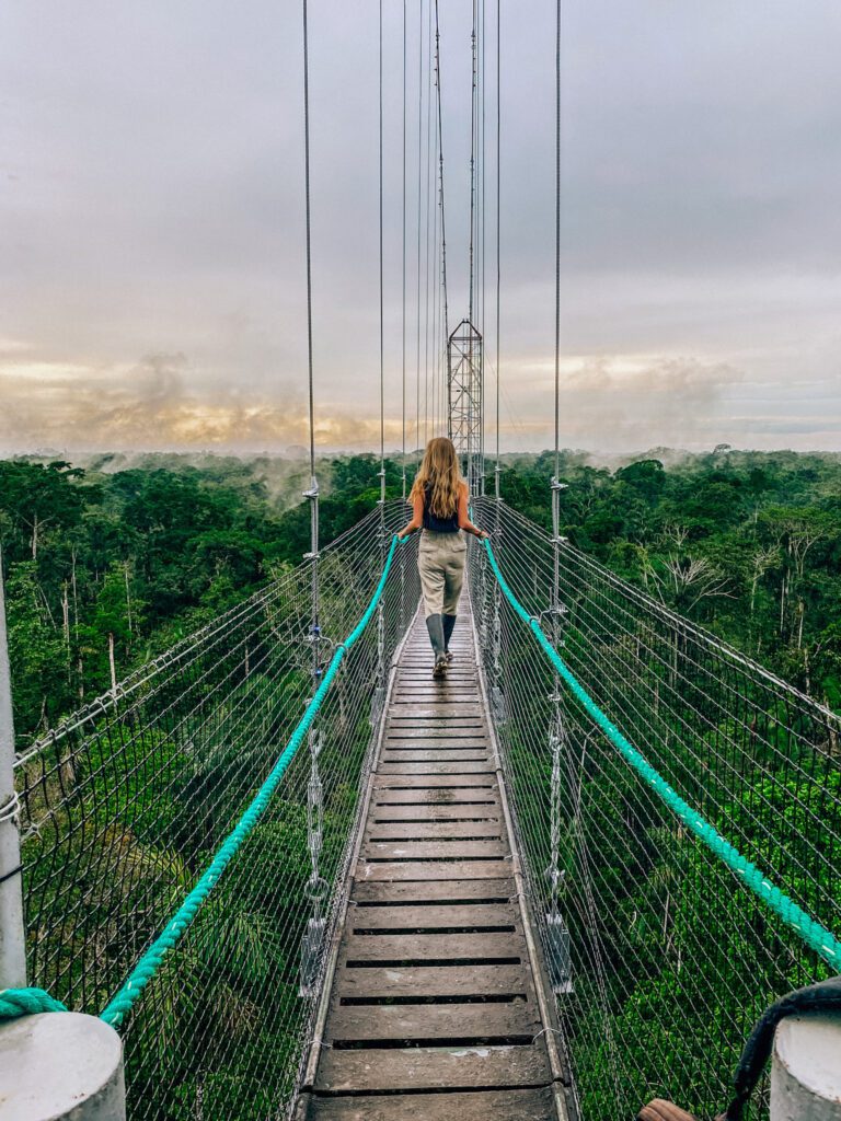 Woman walking across suspension bridge in the amazon rainforest