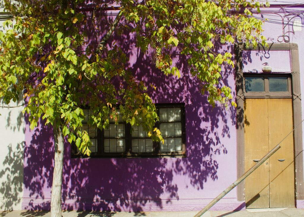 Colorful barrio of Bellavista in Santiago, Chile