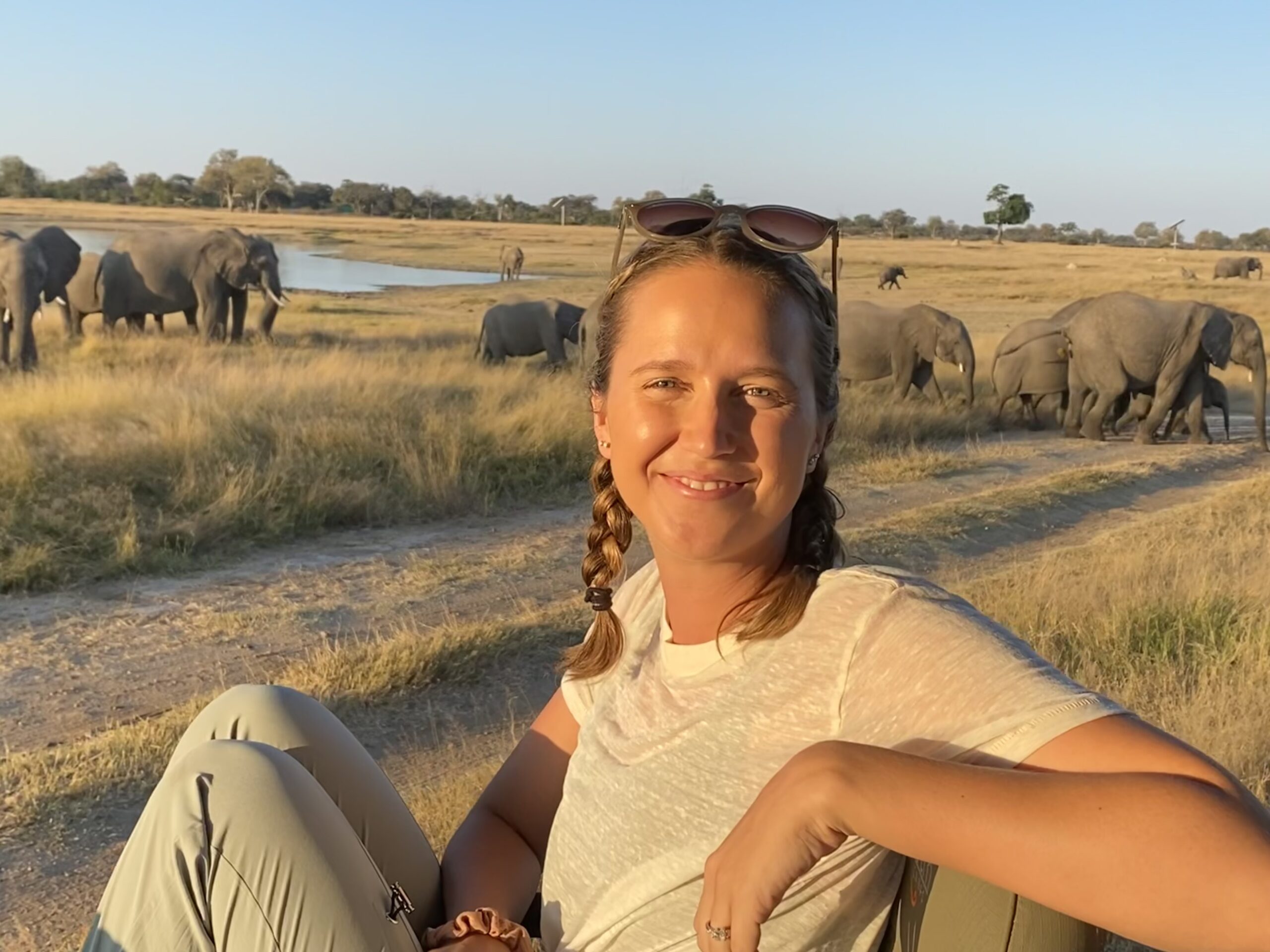 a woman sitting in a chair in front of a herd of elephants.